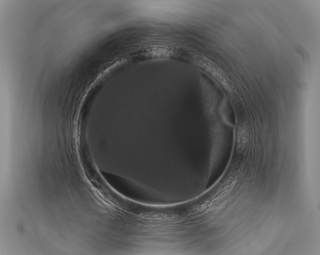 X0000111590722200907161453