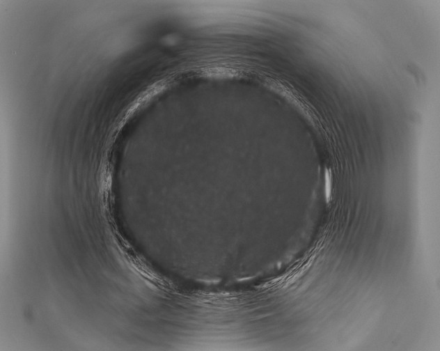 X0000111590723200907161453