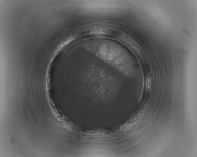 X0000111590724200907161453