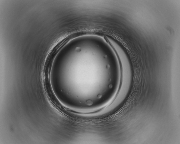 X0000111590726200907161453