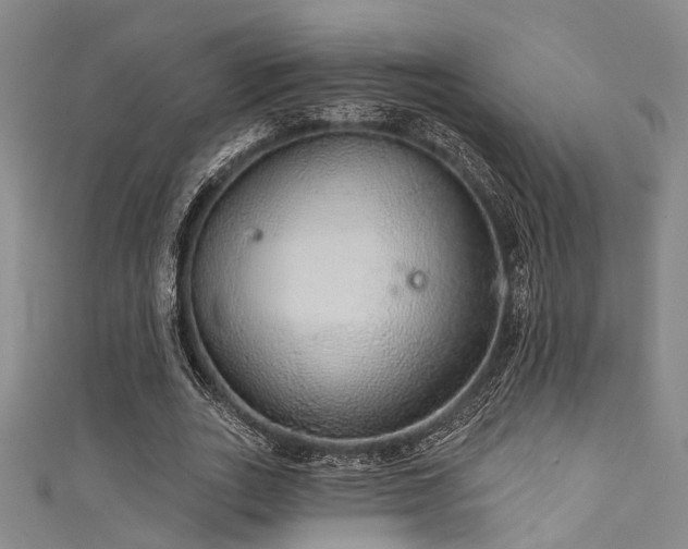 X0000111590727200907161453