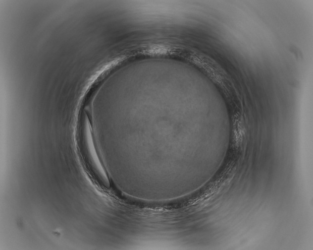 X0000111590728200907161453