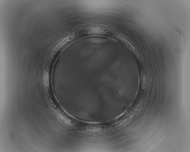 X0000111590729200907161453