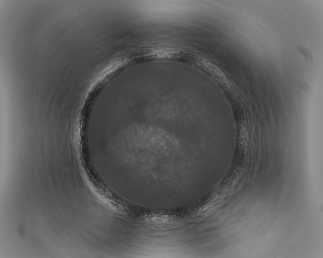 X0000111590730200907161453