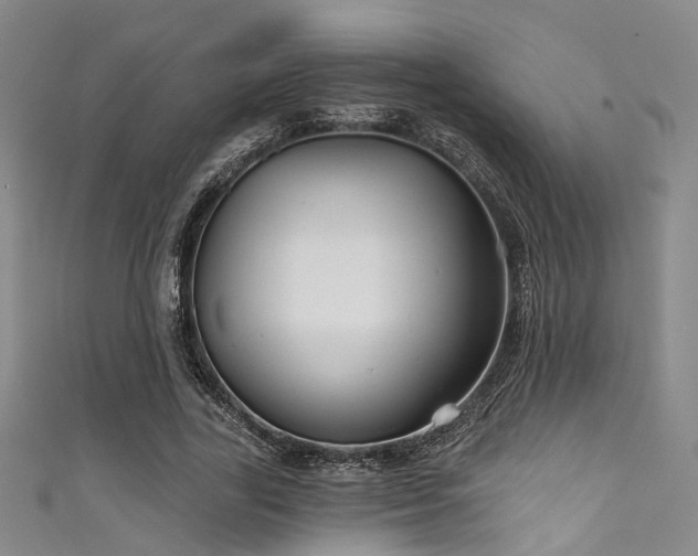 X0000111590731200907161453