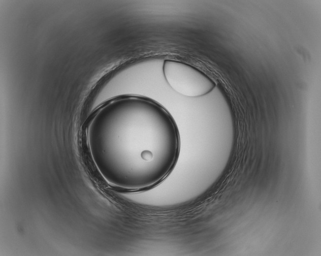 X0000111590732200907161453