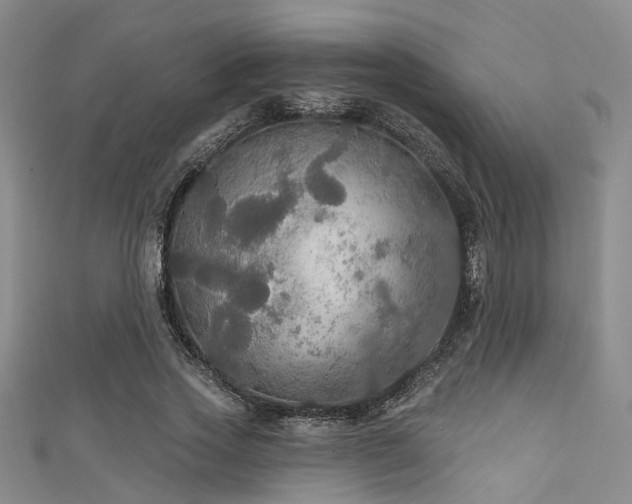 X0000111590733200907161453