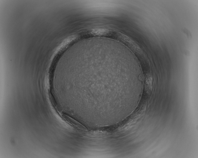 X0000111590734200907161453