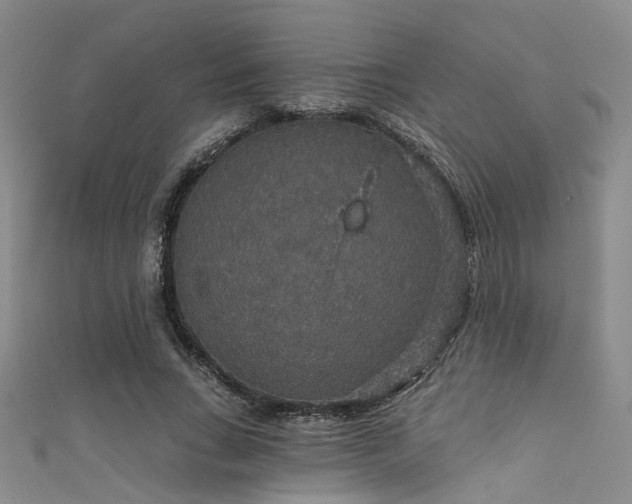 X0000111590735200907161453