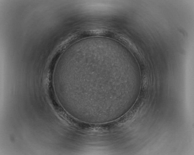 X0000111590736200907161453