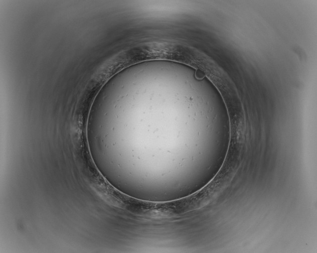 X0000111590737200907161453