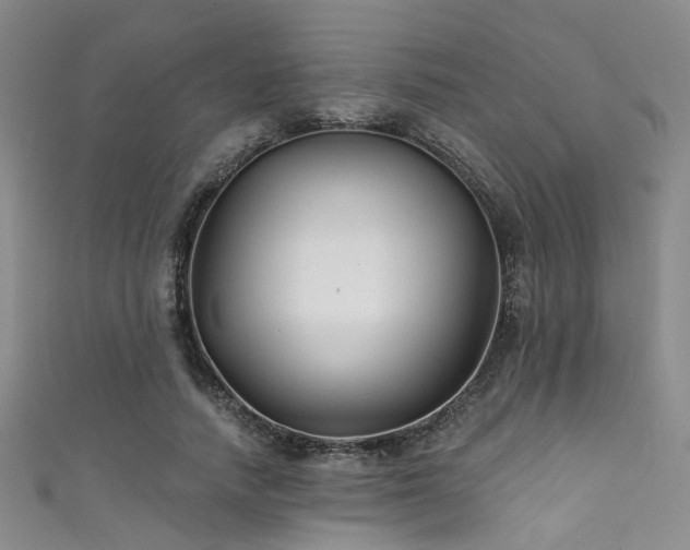 X0000111590738200907161453