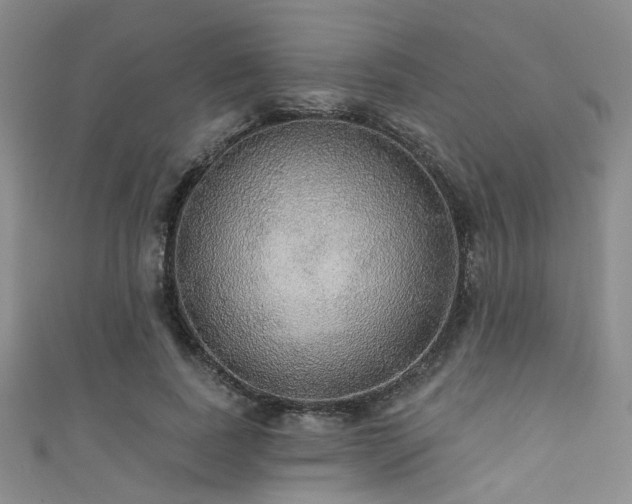 X0000111590739200907161453