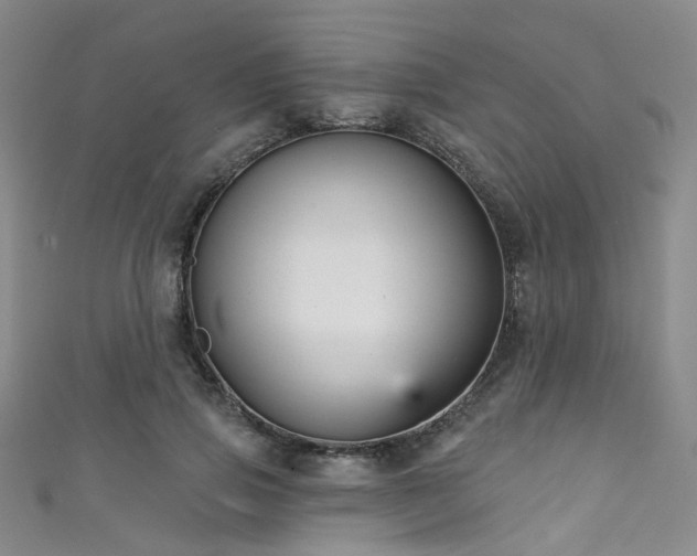 X0000111590741200907161453