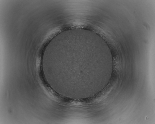 X0000111590742200907161453