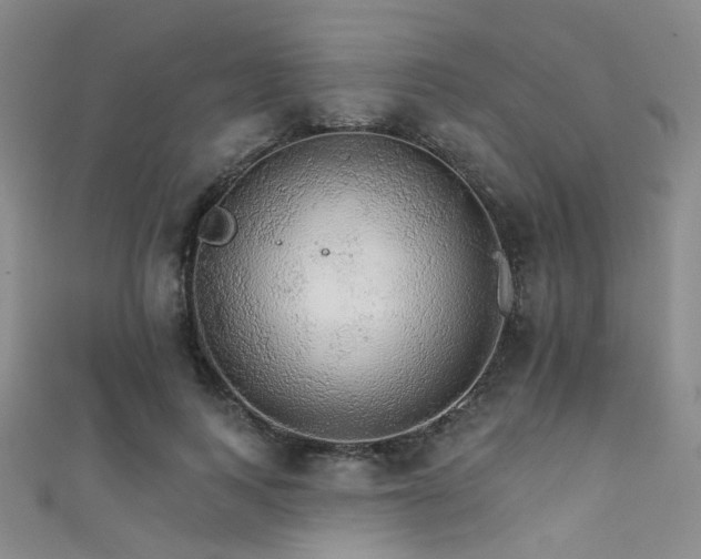 X0000111590743200907161453