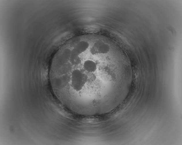 X0000111590745200907161453