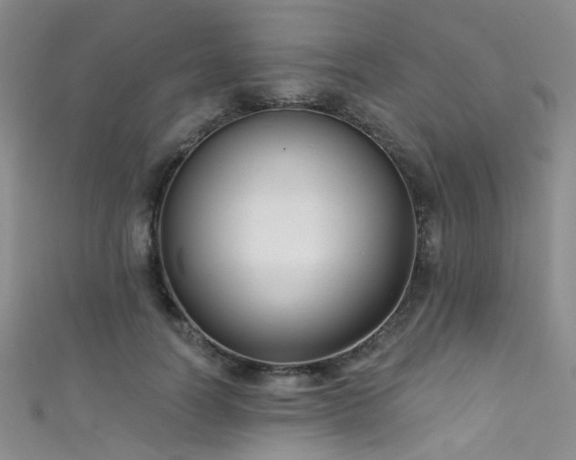 X0000111590746200907161453