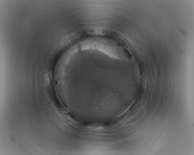 X0000111590747200907161453