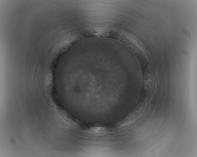 X0000111590748200907161453