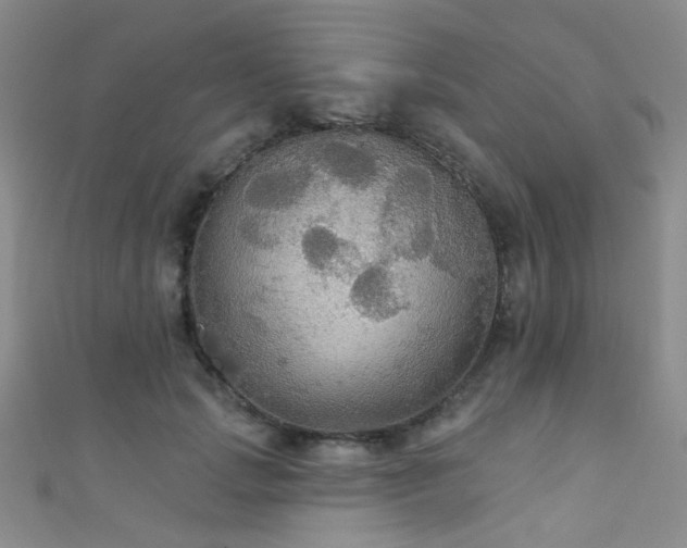 X0000111590749200907161453