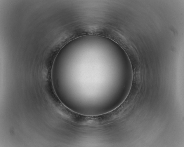 X0000111590750200907161453