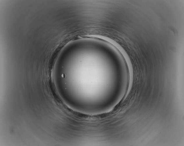 X0000111590751200907161453