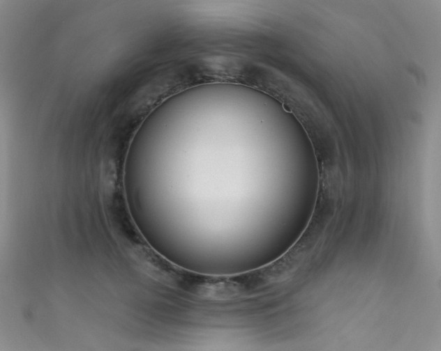 X0000111590752200907161453