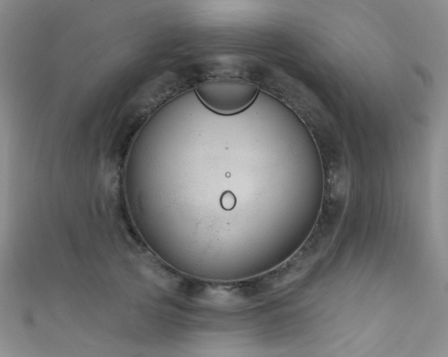 X0000111590753200907161453