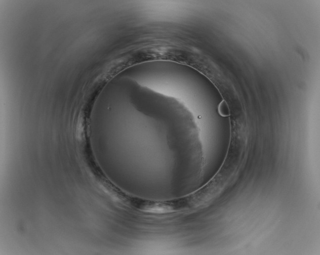 X0000111590754200907161453