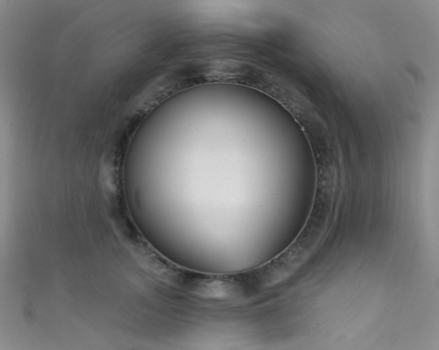 X0000111590755200907161453