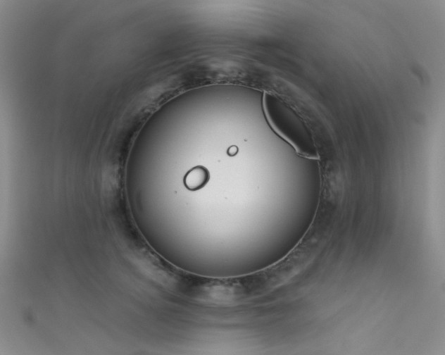 X0000111590756200907161453