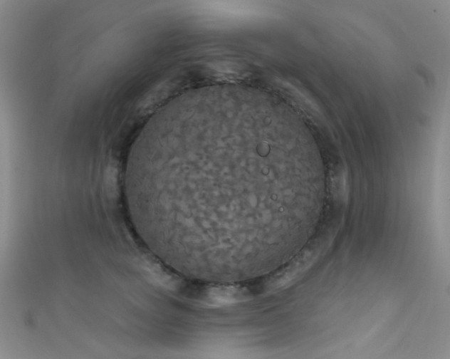 X0000111590757200907161453