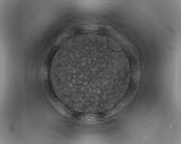 X0000111590758200907161453