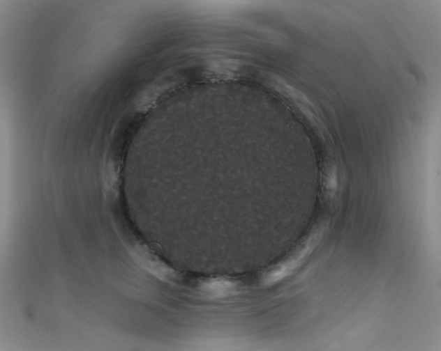 X0000111590759200907161453