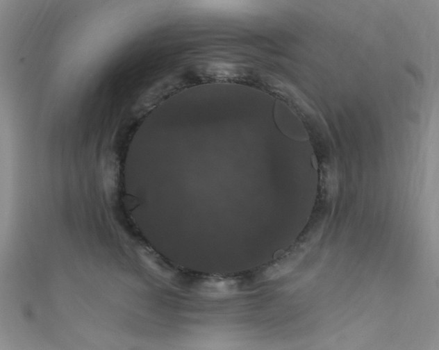 X0000111590760200907161453