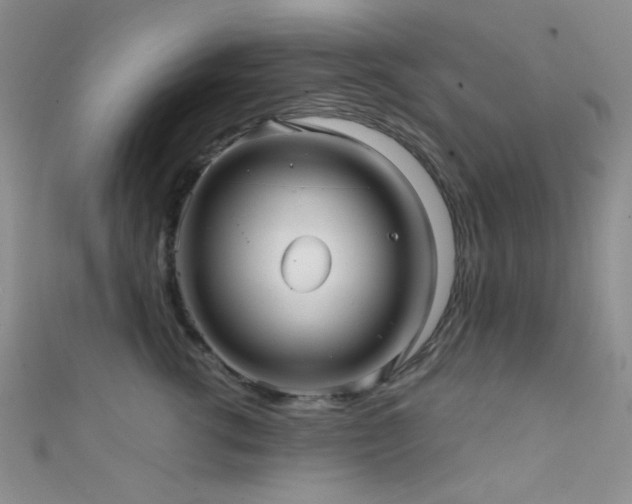 X0000111590762200907161453