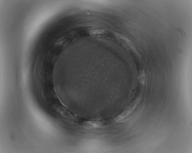 X0000111590763200907161453