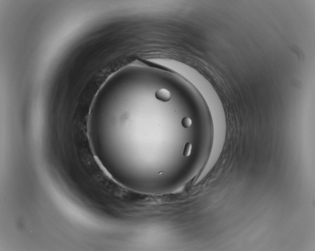 X0000111590764200907161453