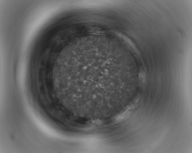 X0000111590765200907161453