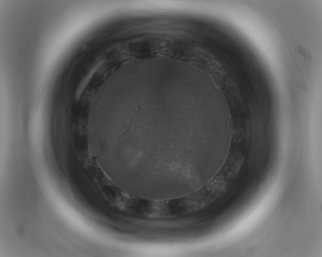 X0000111590766200907161453