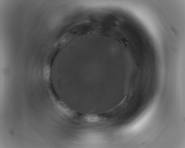 X0000111590767200907161453