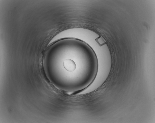 X0000111590768200907161453