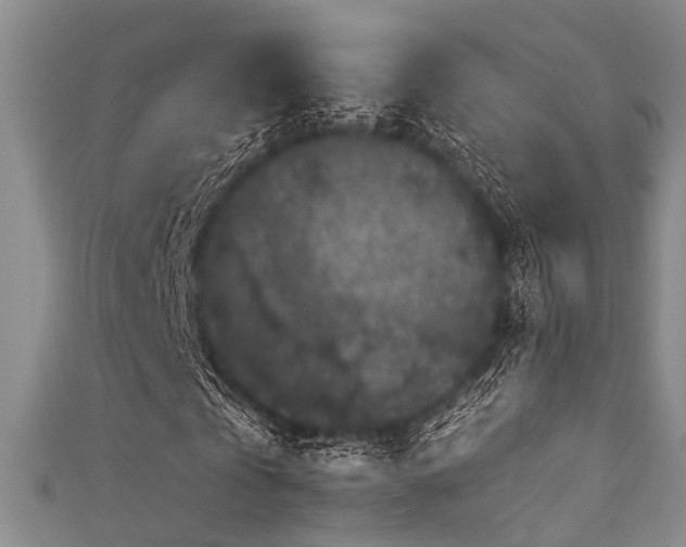 X0000111590769200907161453