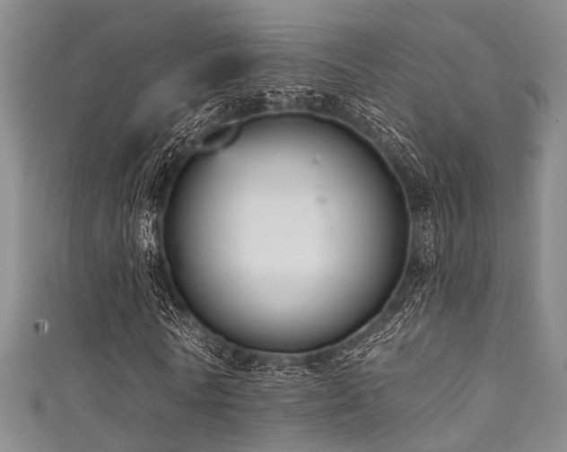 X0000111590770200907161453