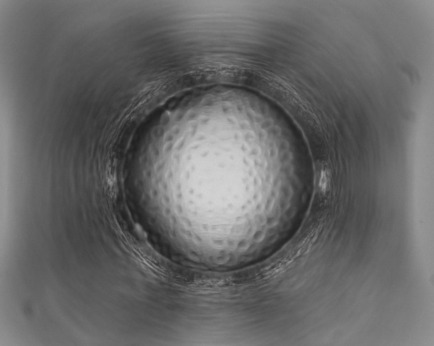 X0000111590771200907161453