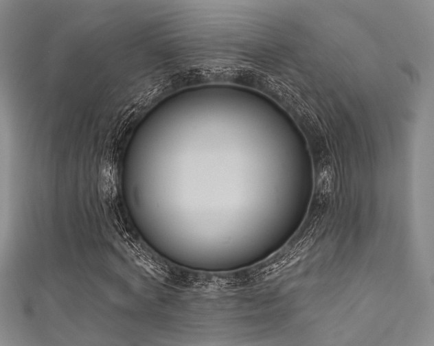 X0000111590772200907161453