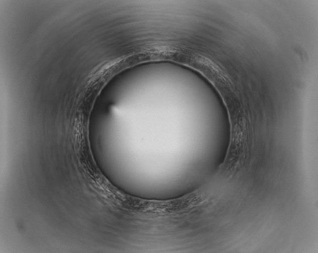 X0000111590773200907161453