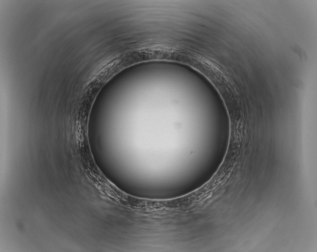 X0000111590774200907161453