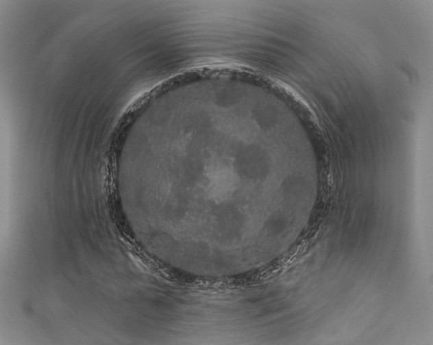 X0000111590775200907161453